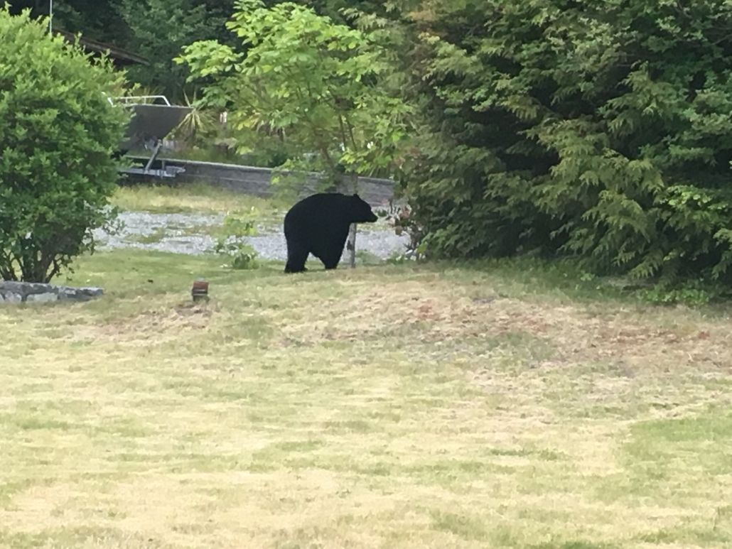 Eagle Nook Resort Ucluelet Zewnętrze zdjęcie